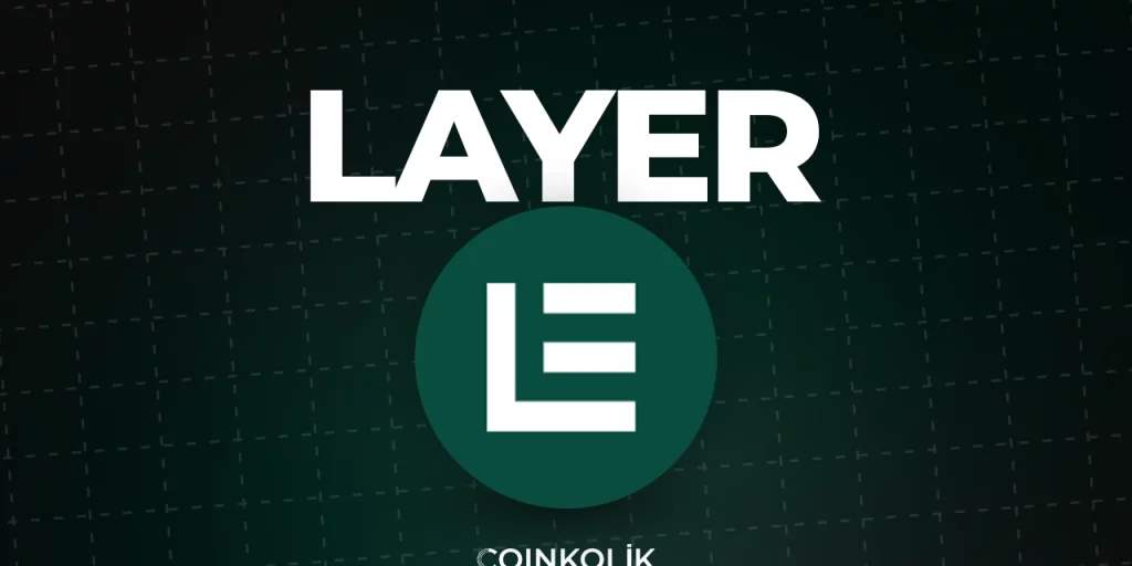Solayer LAYER: Kripto Dünyasında Yenilikçi Stake Protokolü