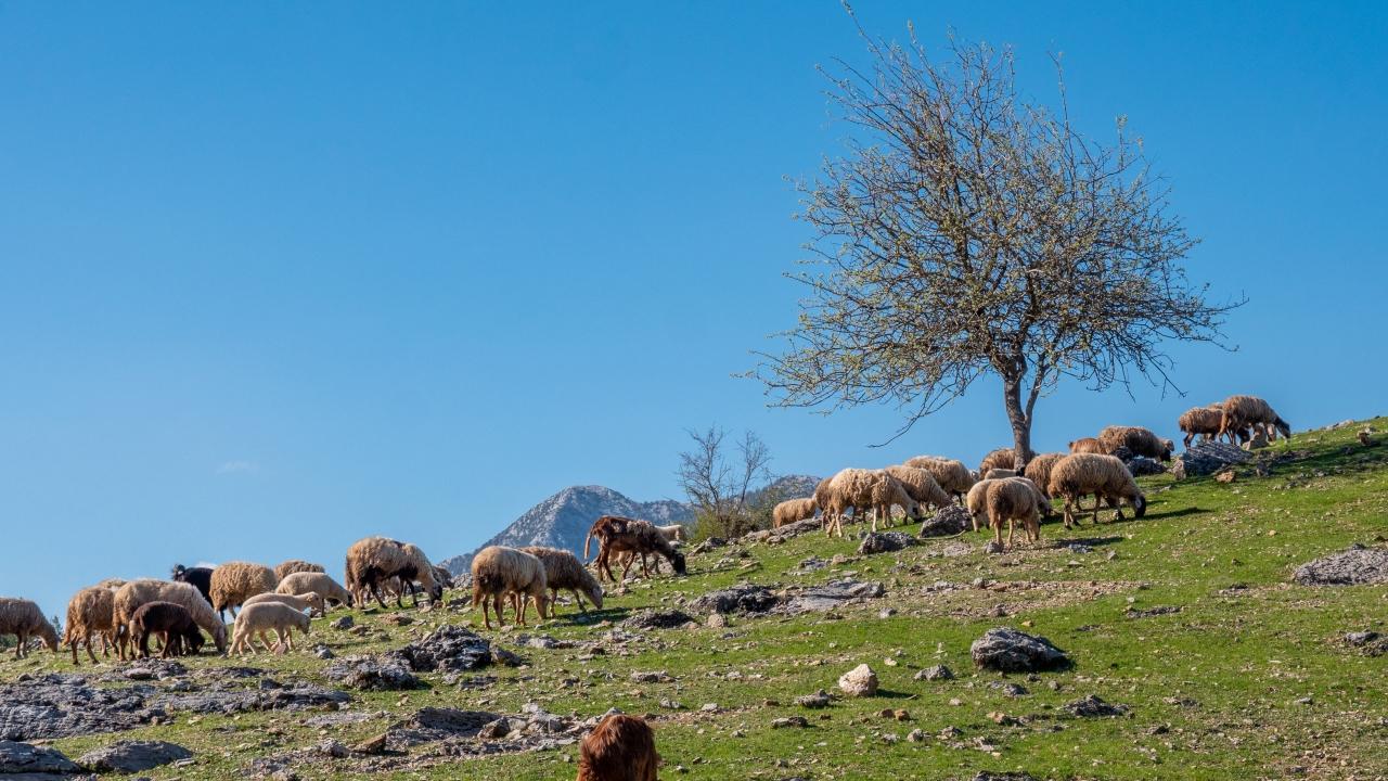 Antalya'da Doğayla İç İçe Yaşam Başladı
