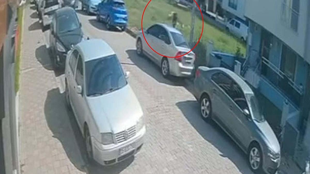 Aydın'da Sokak Köpeğinden Kaçarken Kazaya Karıştı