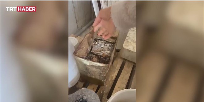 Konya'da 50 Ton Sağlıksız Peynir İmha Edildi