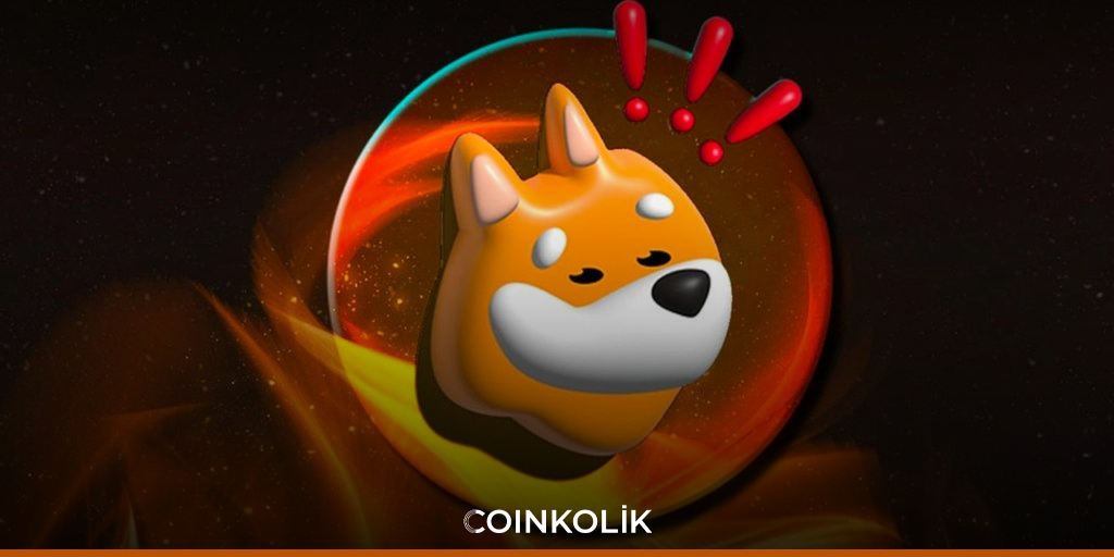 BONK Memecoin'i Solana Platformunda Yükselişe Geçti
