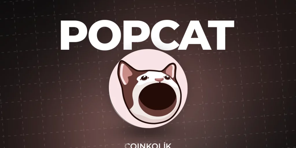 Popcat: Viral Memecoin, Solana Üzerine Yükselişe Geçiyor
