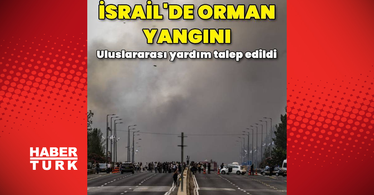 İsrail'de Orman Yangını: Uluslararası Yardım İsteniyor