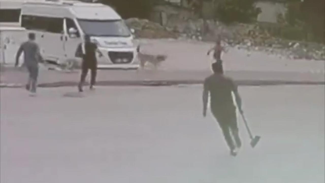 Adana'da Başıboş Köpekler Saldırdı: 2 Çocuk Kurtuldu