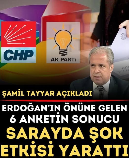 Şamil Tayyar, Saray'da Bomba Etkisi Yapan Sonuçları Açıkladı
