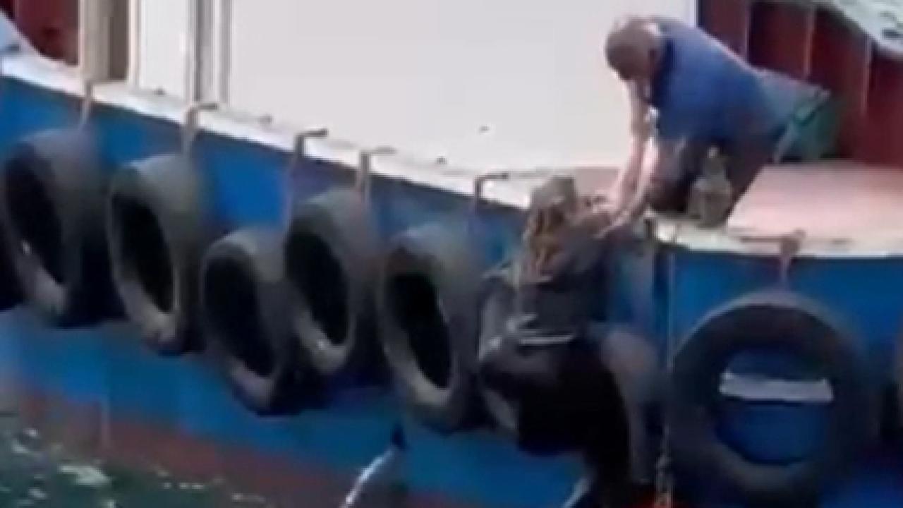 Kartal'da Vapurdan Düşen Yolcu, Balıkçı Teknesiyle Kurtarıldı