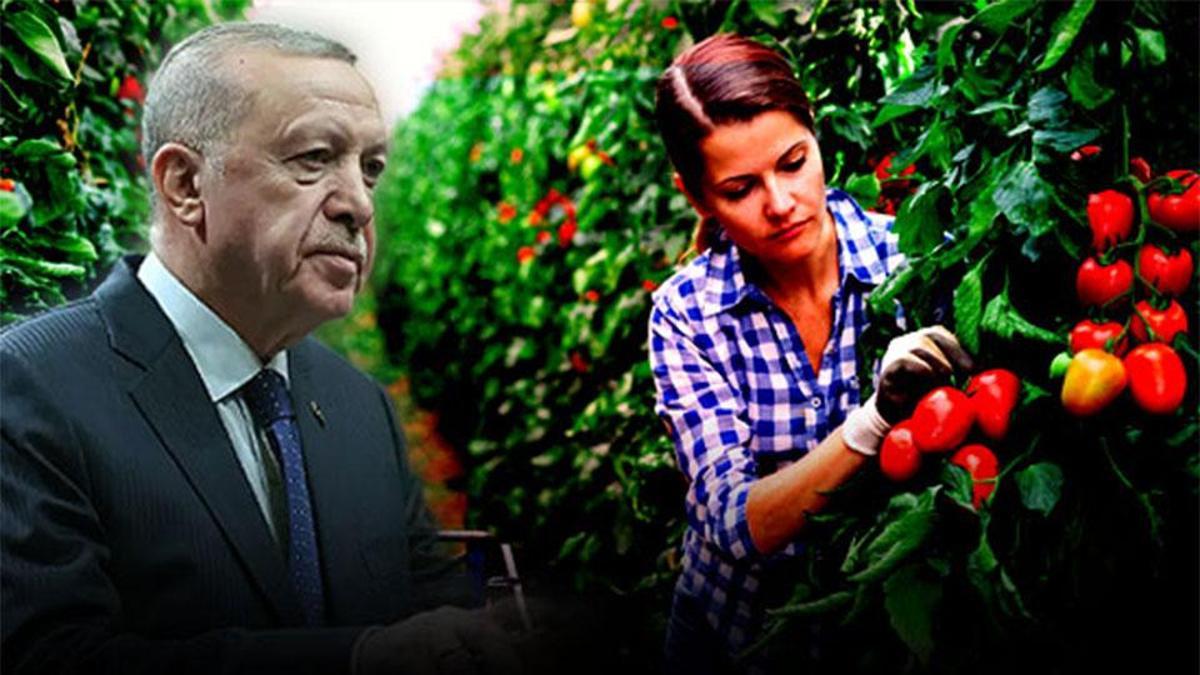 Tarımda Yeni Yol Haritası Belirlendi: 371 Hedef ve 2678 Strateji