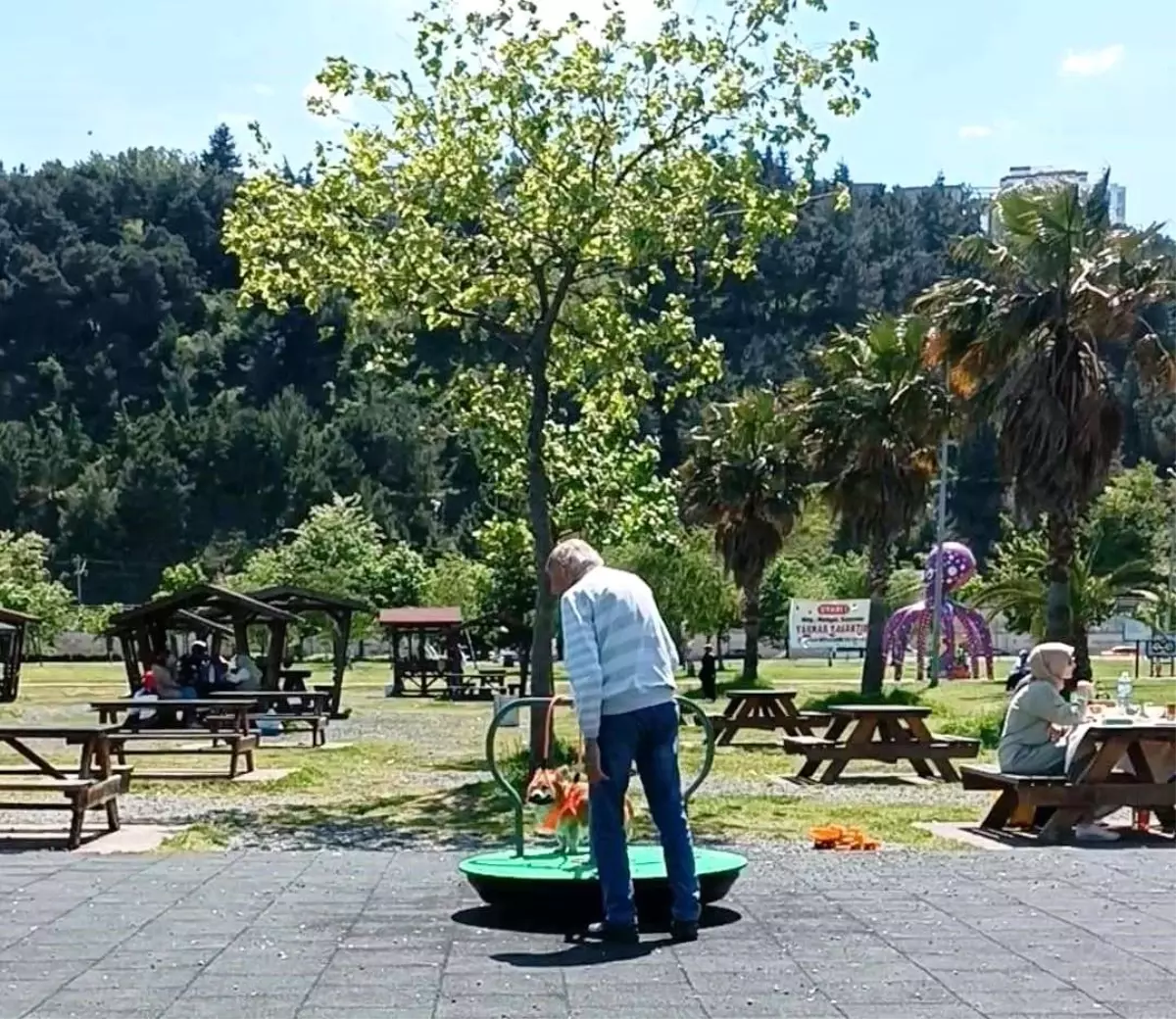 Samsun'da Köpek Parkta Keyifli Anlar Yaşattı