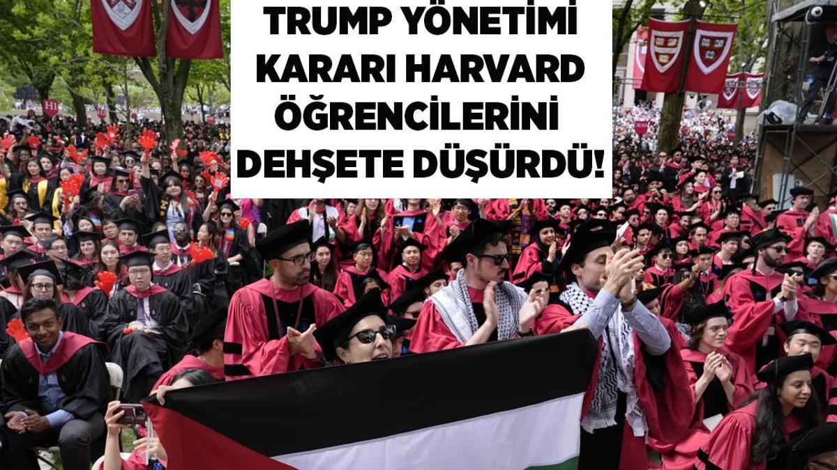 Harvard Üniversitesi'nde Protesto Kararı Öğrencileri Tedirgin Etti