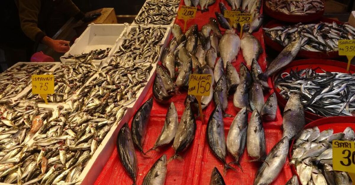 Karadeniz'de Balık Stokları Alarm Veriyor