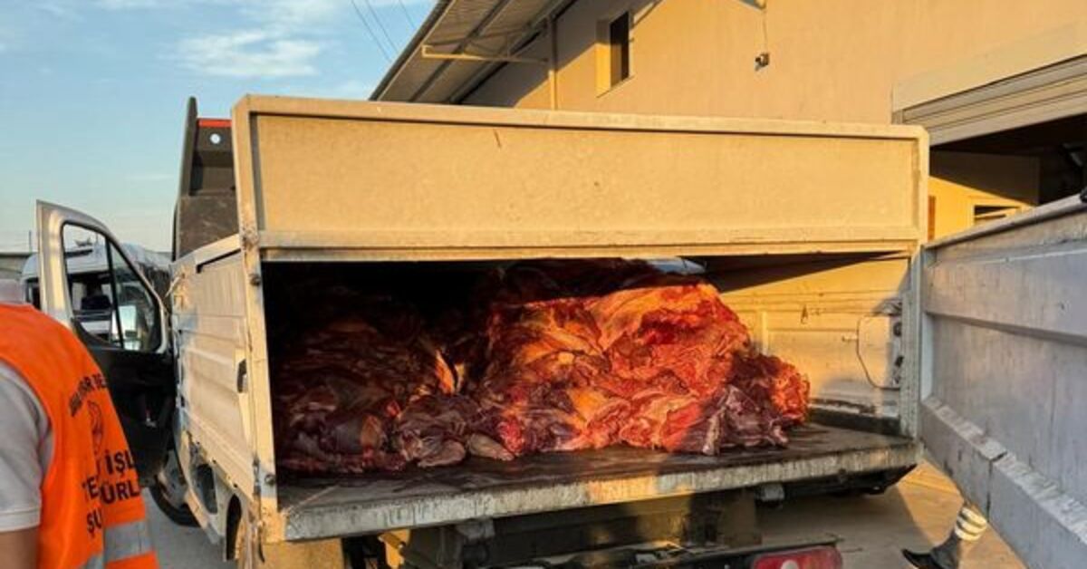 Adanada Tek Tırnaklı Hayvan Etinden 3 Tonluk Kaçak Operasyon