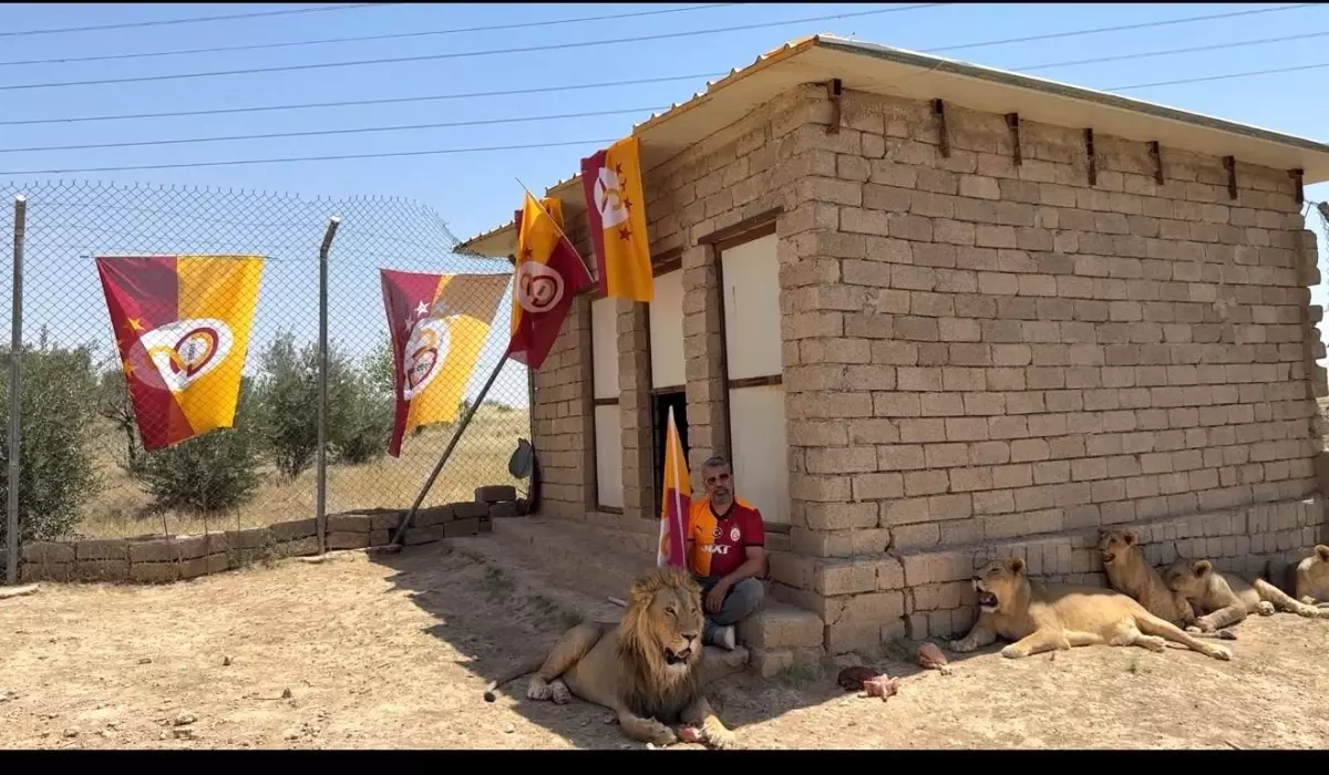 Diyarbakırlı Ahmet Akbey, Galatasaray Şampiyonluğunu Aslanlarıyla Kutladı