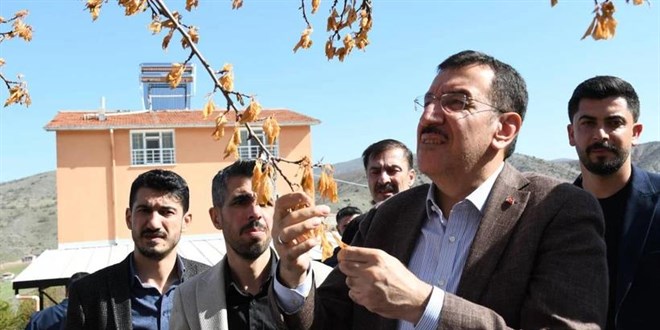 Zirai Don Destek Ödemeleri Kurban Bayramı Sonrası Başlayacak
