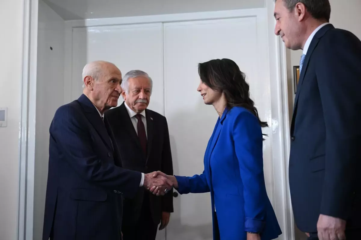 DEM Parti, MHP ile Görüşmede Buluştu: 