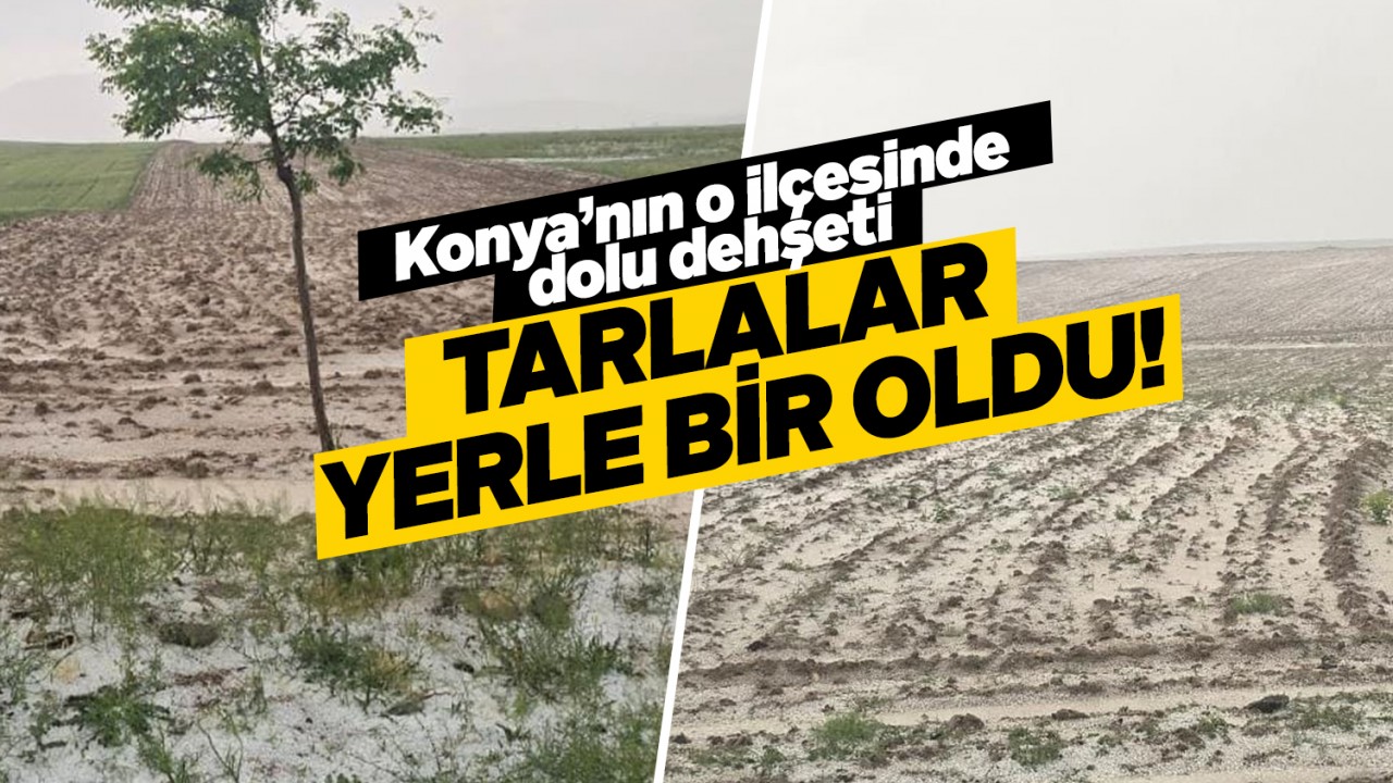 Konya Kulu'da Dolu Yağışı Tarım Arazilerinde Zarara Yol Açtı