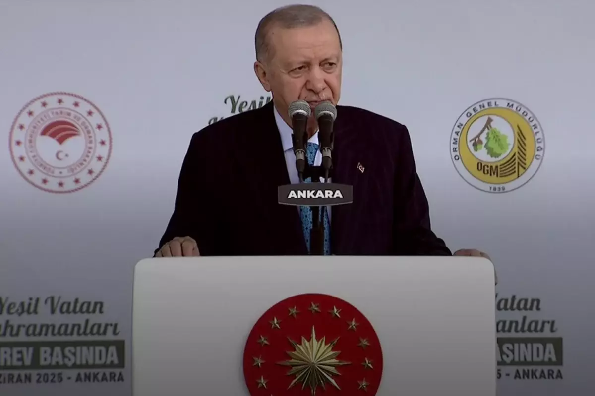 Cumhurbaşkanı Erdoğan'dan Yeşil Vatan'a Yönelik 5 Karar Açıklaması