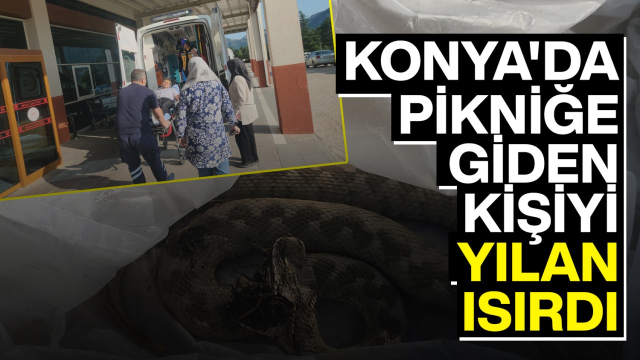 Konya'da Piknik Sırasında Yılan Isırığı: Kişi Hastaneye Kaldırıldı