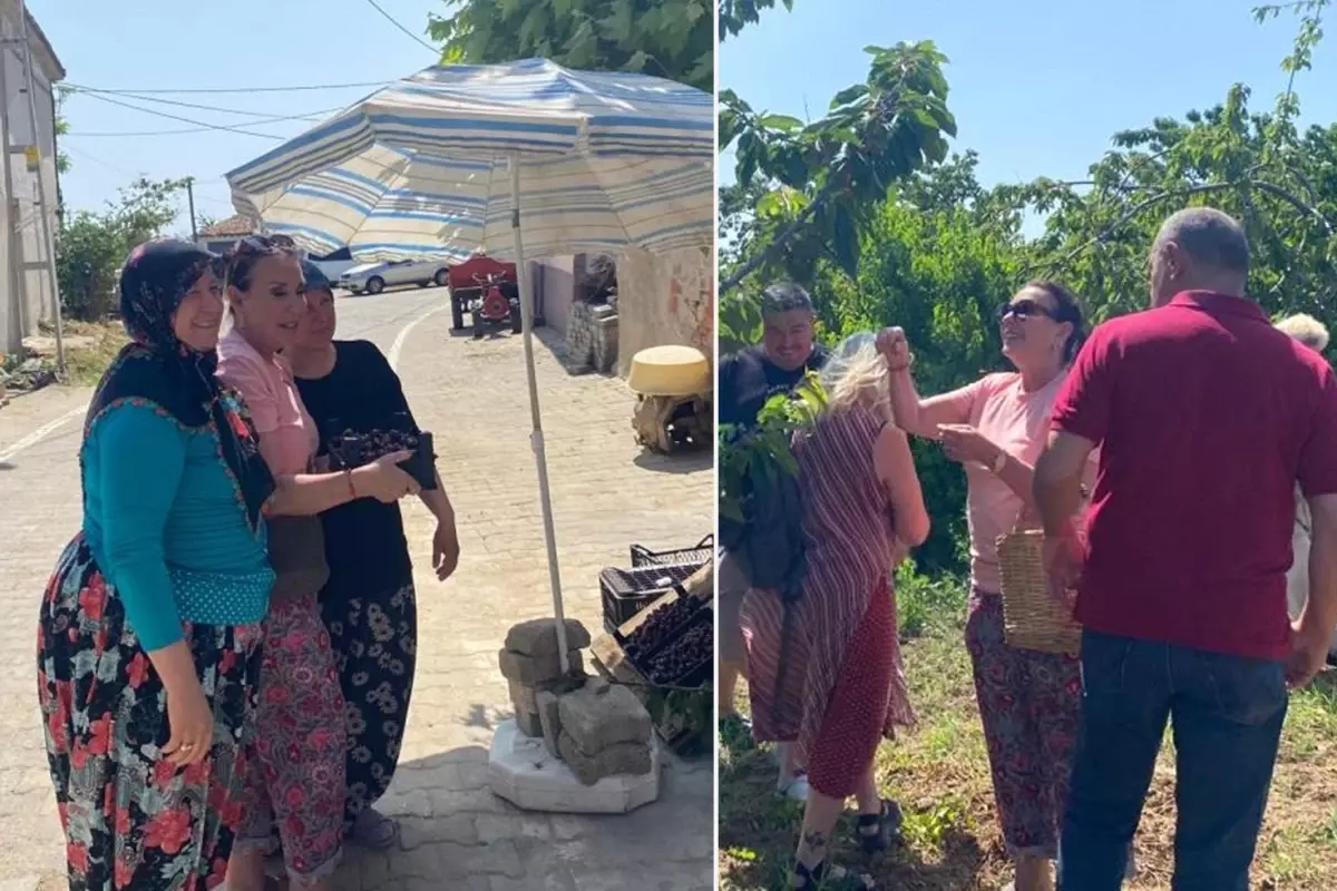 Perihan Savaş, Şarköy'de Kiraz Hasadına Katıldı