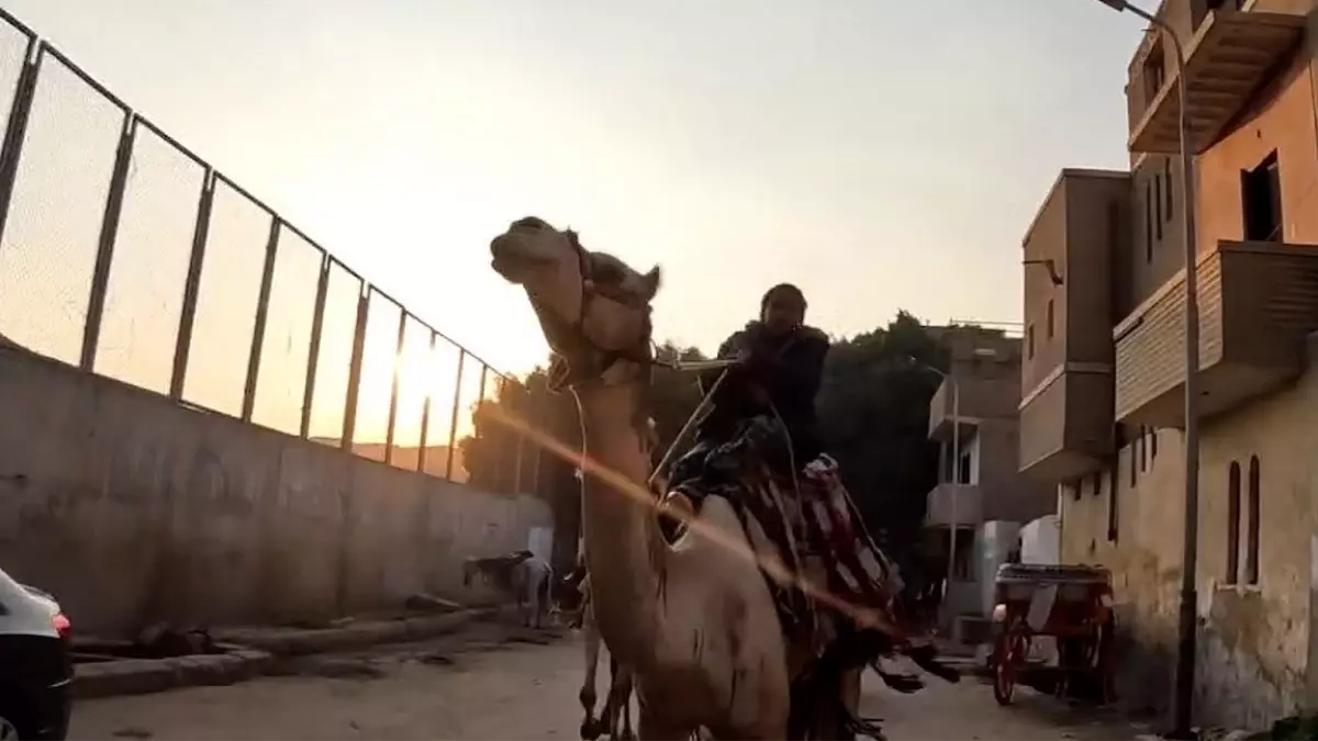 Kuralsız Sokaklar Sansürsüz İçerikleriyle İzleyiciyi Ekran Başına Topladı