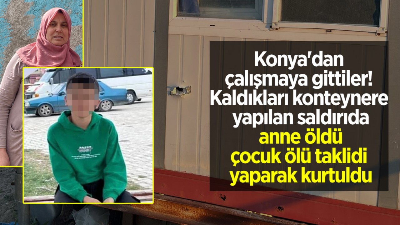Konteynerdeki Soygun Girişimi Anne Cinayetiyle Sonuçlandı: Oğul Ölü Taklidiyle Hayatta Kaldı