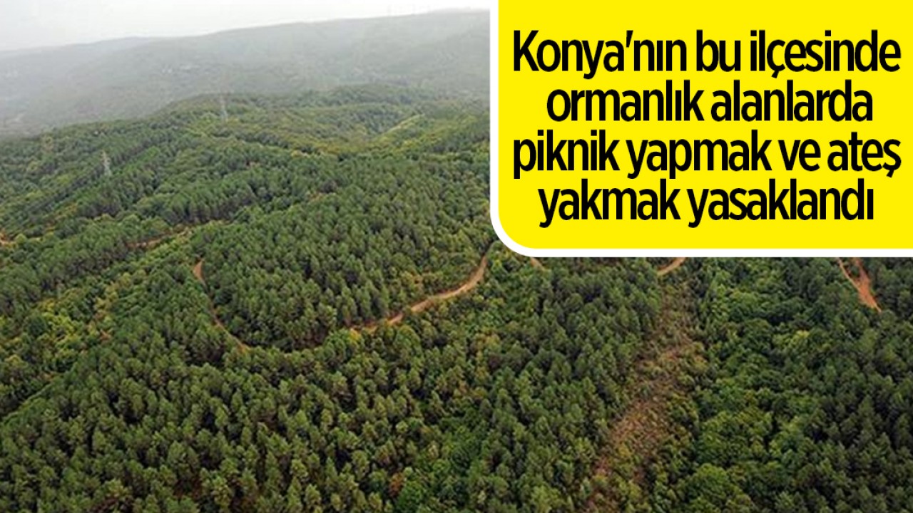 Konya Kadınhanı'nda Ormanlık Alanlarda Piknik ve Ateş Yakma Yasağı