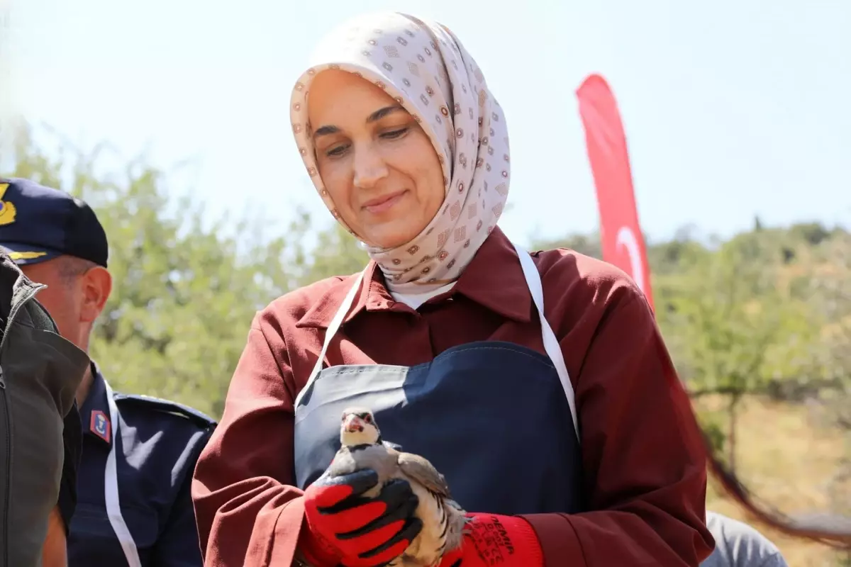 Afyonkarahisar Valisi Kübra Güran Yiğitbaşı Aile ve Sosyal Politikalar Bakanı Olabilir