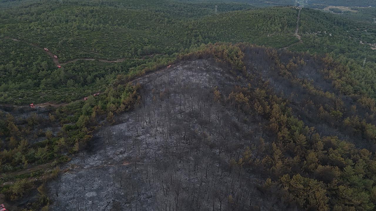 Urla'daki Orman Yangını Dronla Görüntülendi: İkinci Günde Devam Eden Müdahale