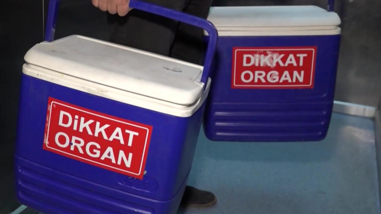 eDevlet ve eNabız Üzerinden Organ Bağışı Kolaylaştı
