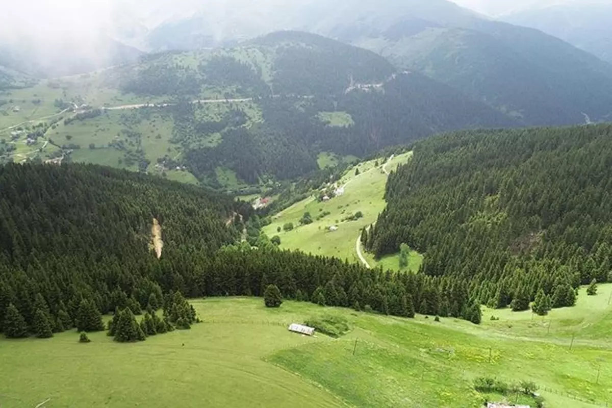 Giresun'da Arazi Kavgası Cinayetle Sonlandı: 3 Ölü, 1 Yaralı